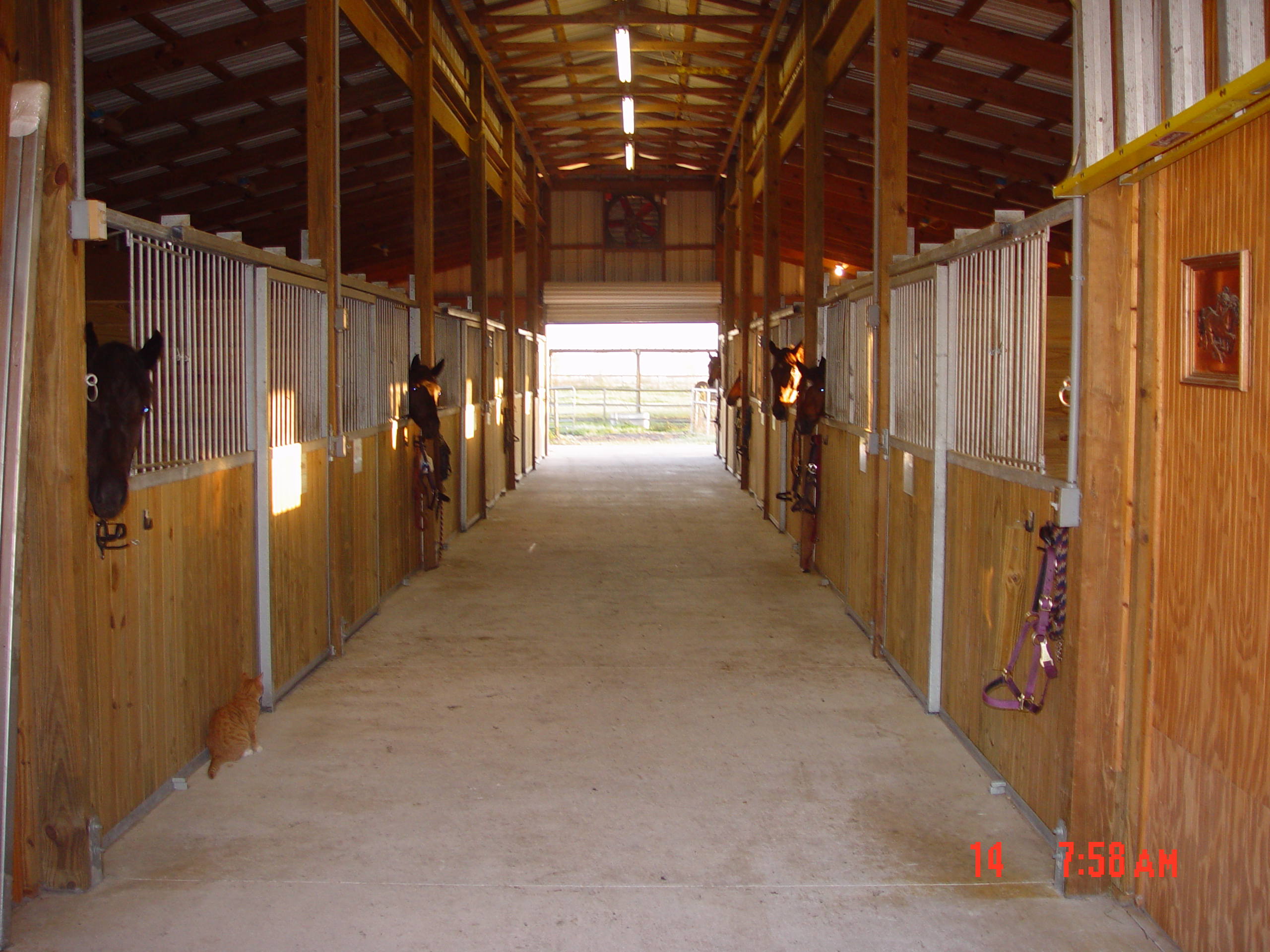barn-and-horses-006.jpg
